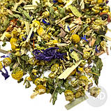 Чай трав'яний Альпійський Луг трав'яна суміш 50 г, фото 3