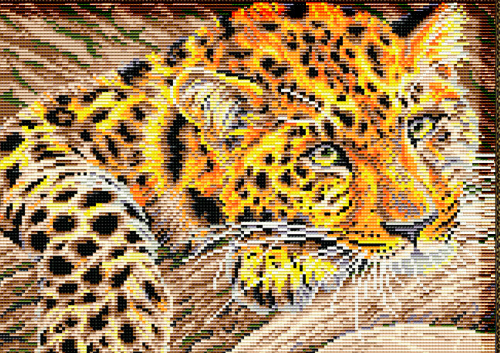 АТ3013. Ягуар