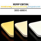 Світильник світлодіодний Biom SMART SML-S01-50/2 3000-6000K 50 Вт з д/у, фото 4