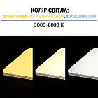 Світильник світлодіодний Biom SMART SML-S01-90/2 3000-6000 K 90 Вт з д/у, фото 4