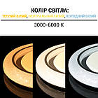 Світильник світлодіодний Biom SMART SML-R11-80/2 3000-6000 K 80 Вт з д/у, фото 4