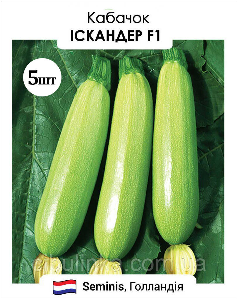 Кабачок Іскандер F1 Seminis/Нідерланди 5 шт, фото 1