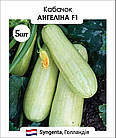 Кабачок Ангеліна F1 Syngenta/Нідерланди 5 шт, фото 4