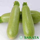 Кабачок Арал F1 Японія 5 шт (30 днів), фото 3