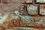 Декоративна штукатyрка CORROSIA, фото 8