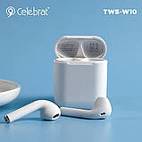 Bluetooth Стерео Гарнітура Celebrat TWS-W10 White (Білий), фото 2