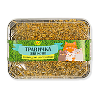 Травка для котів ЛОРІ (пластиковий контейнер + штучний ґрунт) 60 г