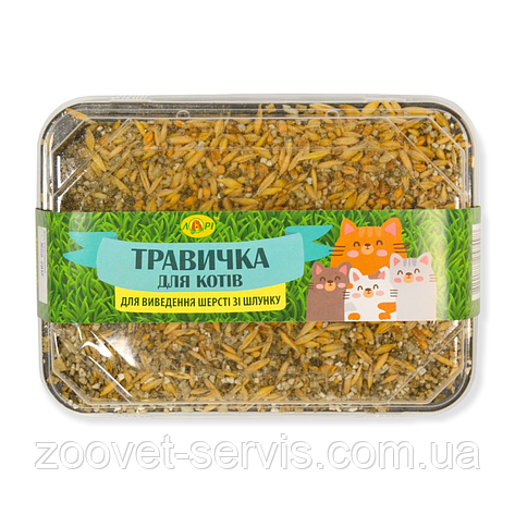 Травка для котів ЛОРІ (пластиковий контейнер + штучний ґрунт) 60 г, фото 1