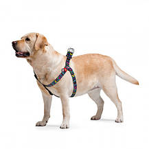 Шлея нейлонова для собак WAUDOG Nylon з QR паспортом розмір S (40-55см), ширина 15 мм малюнок Інді, фото 6