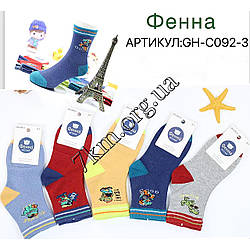 Носки дитячі Оптом для хлопчиків 5-7 років Пені GH-C092-3