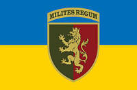Флаг 24 ОМБр имени короля Даниила ВСУ сине-желтый