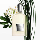 Tom Ford Grey Vetiver парфумована вода 100 ml. (Том Форд Грей Вітівер), фото 7