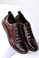 Туфли женские коричневые на шнуровке Т1552