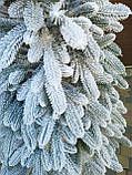 Ялинка лита на пні Тріумф Засніжена 2.00м // Ялинка на натуральному стовбурі зі снігом, фото 3