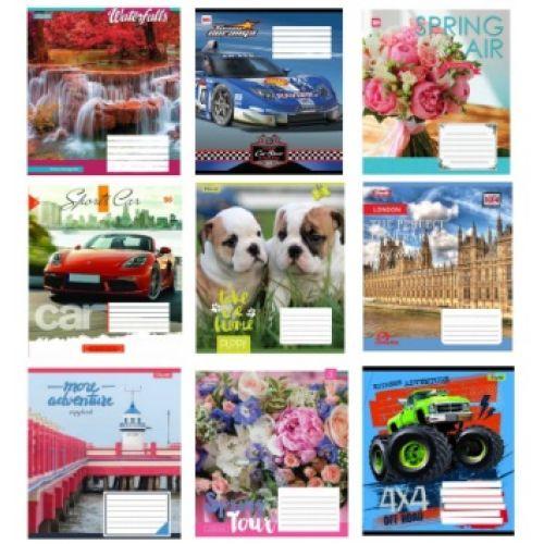 Зошит шкільний 18 аркушів клітинка повнокольорова обкладинка 1Вересня, 792961, фото 1