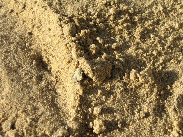 Мытый песок строительный средний - фото 2 - id-p1685420