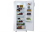 Холодильник Snaige C31SM-T1002F, фото 2