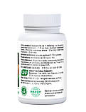 Дикий Ямс Діоскорея комплекс застерігає судинні спазми No60 Амріта, фото 2