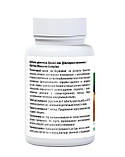 Дикий Ямс Діоскорея комплекс застерігає судинні спазми No60 Амріта, фото 3
