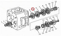 Шестерня МТЗ 4-й передачи кат. № 50-1701216