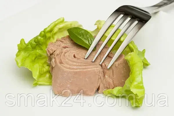 depositphotos_31131079_st__to_canned_tuna_chunks.jpg