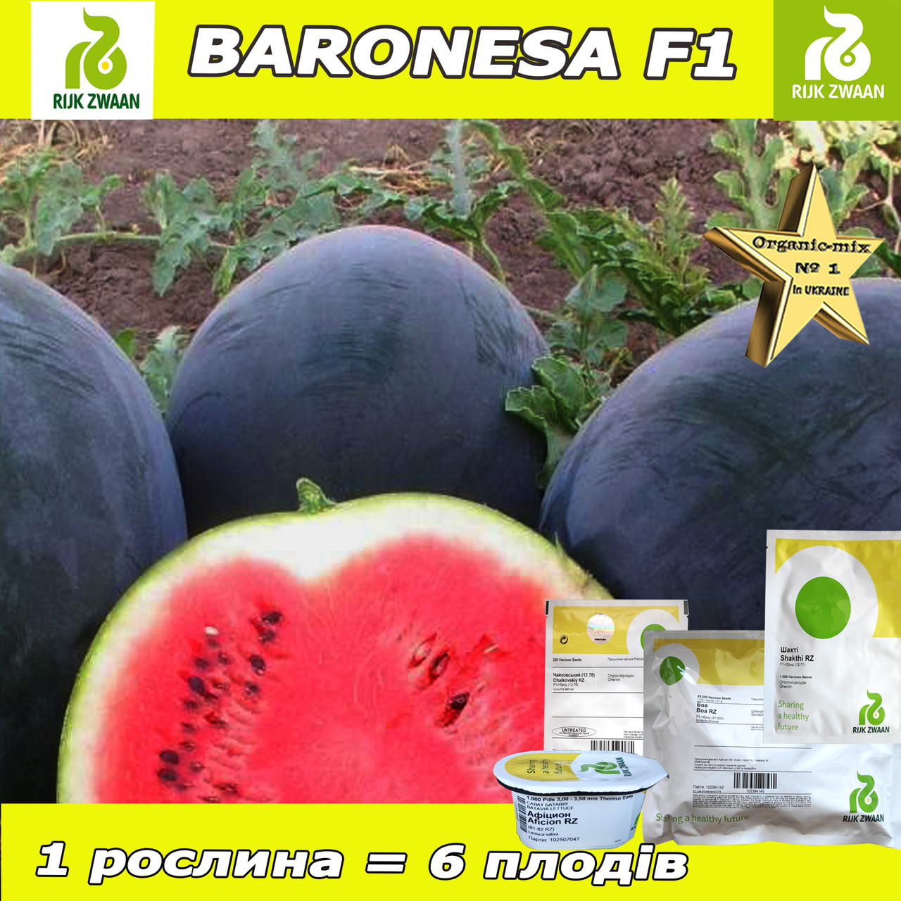 Кавун чорний БАРОНЕСCА F1 / BARONESA F1, ТМ Rijk Zwaan (Нідерланди)