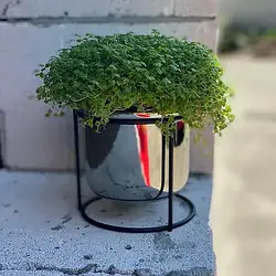 Кашпо "Голд", 12,5*13 см