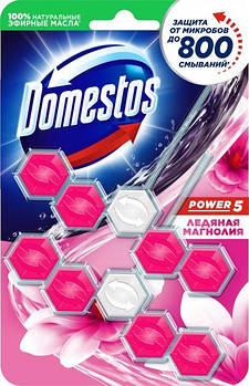 Блок для очищення унітаза Domestos Power 5 крижана магнолія 2 х 55 г