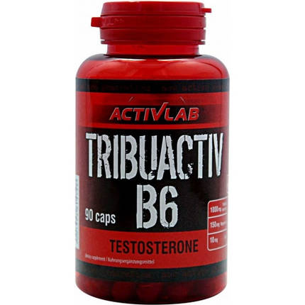 Activlab Tribuactiv B6 90 caps, фото 1