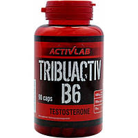 Activlab Tribuactiv B6 90 caps