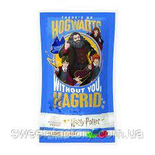 Жевательные бобы Harry Potter These's no Hogwarts without Hagrid 28g - фото 1 - id-p1670070227