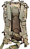 Штурмовий військовий рюкзак чоловічий тактичний із системою моллі мультикам на 25 літрів, фото 4