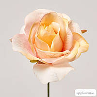 Головки цветов "Роза №5" желто-белые