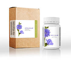 Fitolocun (Фітолокун) - капсули для підтримки сечовидільної системи