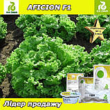 Салат АФІЦІОН F1, насіння дражоване, 1000 насінин, ТМ Rijk Zwaan (Нідерланди), фото 3