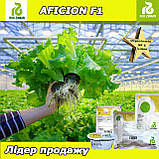 Салат АФІЦІОН F1, насіння дражоване, 1000 насінин, ТМ Rijk Zwaan (Нідерланди), фото 4