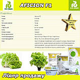 Салат АФІЦІОН F1, насіння дражоване, 1000 насінин, ТМ Rijk Zwaan (Нідерланди), фото 5