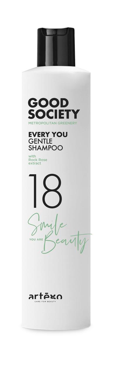 Шампунь для щоденного використання Artego Good Society 18 Every You Gentle Shampoo 250мл, фото 1