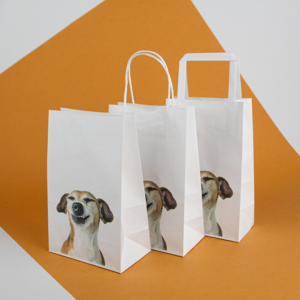 Прикольні подарунки пакет Подарунковий 150*90*240 Паперові Пакети з приколами Смішний собака