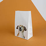 Прикольні подарунки пакет Подарунковий 150*90*240 Паперові Пакети з приколами Смішний собака, фото 2