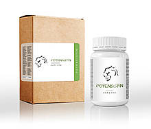Potensistin (Потенсістін) - капсули для підвищення потенції