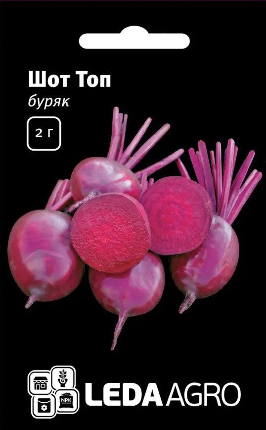 Шот Топ 2 г Leda Agro Буряк столовий Насіння (Свекла столовая Семена), фото 1