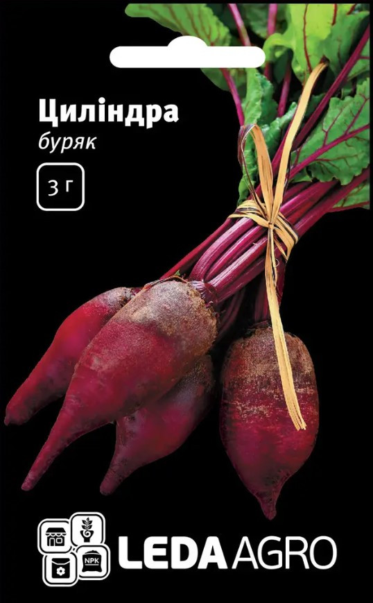 Купить Семена Свеклы Столовой