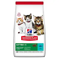 Сухой корм для котят Hills Science Plan Kitten 300 г (тунец)