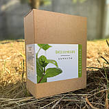 Brestiksin (Брестіксін) - капсули для підтримки жіночої краси та гормональної рівноваги, фото 2