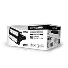 Прожиктор Eurolamp LED 100W 5000K (LED-FLM-100/50)