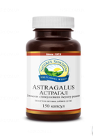 Астрагал Astragalus