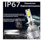 Світлодіодні автолампи LED C6-H11, фото 5