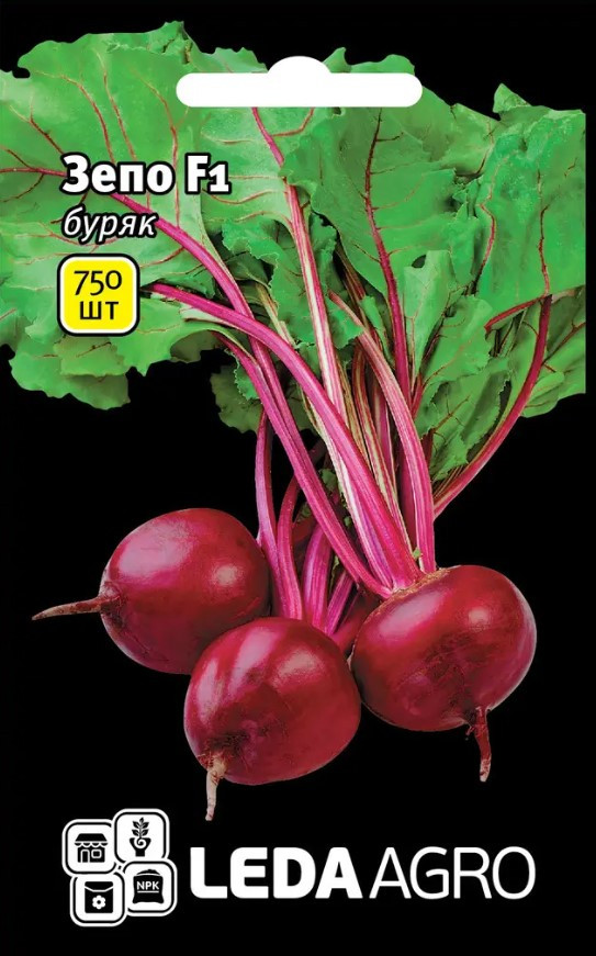 Насіння Буряка Зепо F1 750 шт (Leda Agro), ультраранній сорт для відкритого ґрунту та теплиць, фото 1