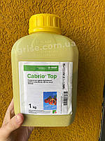 Кабрио топ в категории "Сельхозпродукция, техника и оборудование ...